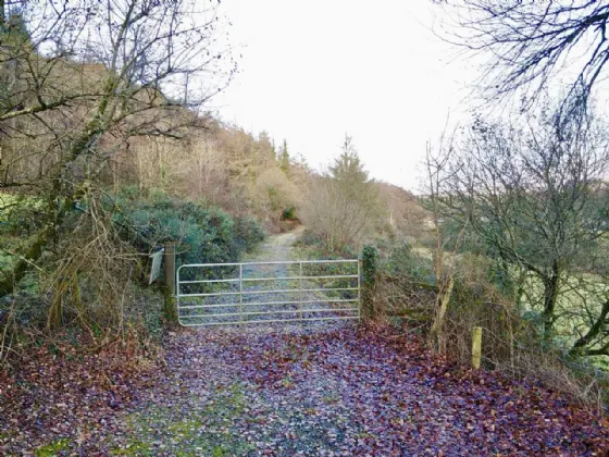 Photo of The Laurels, Ballymacarbry, Co Waterford, E91 P306