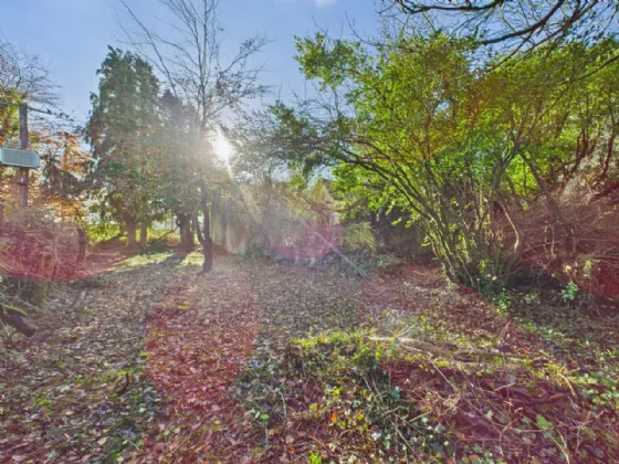 Photo of The Old Dispensary, Portroe, Nenagh, Co. Tipperary, E45 HR58