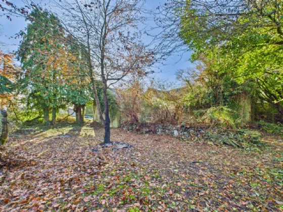 Photo of The Old Dispensary, Portroe, Nenagh, Co. Tipperary, E45 HR58