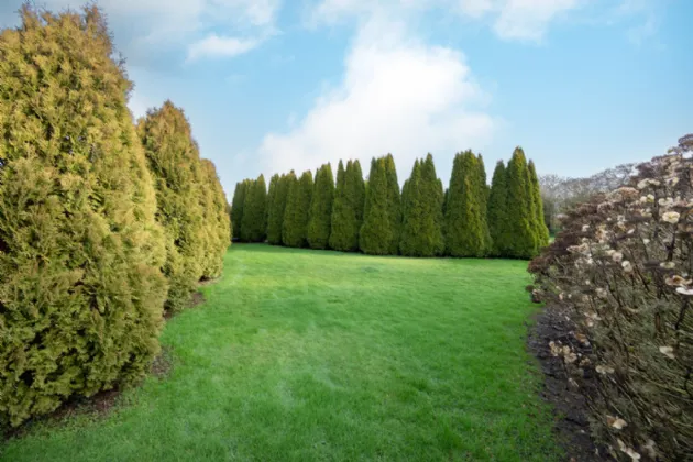 Photo of Ballygroman Upper, Ovens, Co Cork, P31HE06
