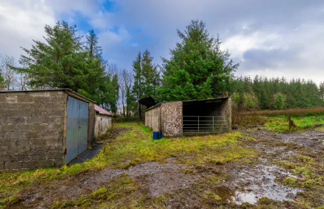 Photo of Breanamore, Loughglynn, Castlerea, Co Roscommon
