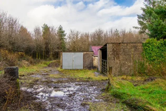 Photo of Breanamore, Loughglynn, Castlerea, Co Roscommon