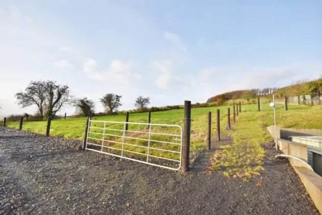 Photo of Ballyine, Newcastle West, Co. Limerick, V42 C796