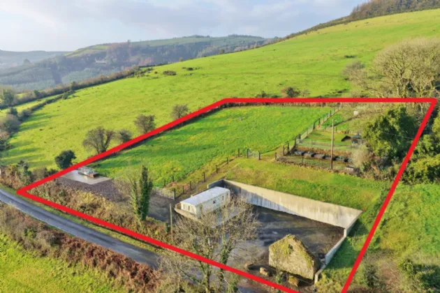 Photo of Ballyine, Newcastle West, Co. Limerick, V42 C796