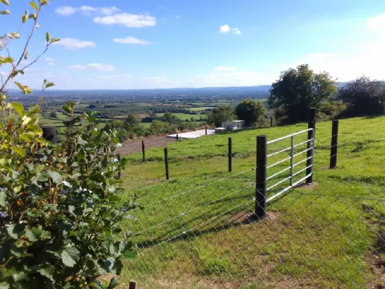 Photo of Ballyine, Newcastle West, Co. Limerick, V42 C796