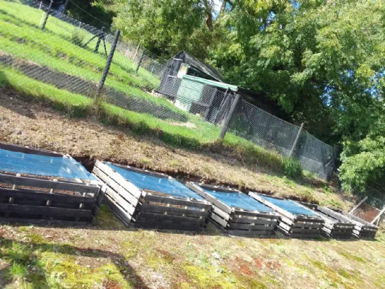 Photo of Ballyine, Newcastle West, Co. Limerick, V42 C796