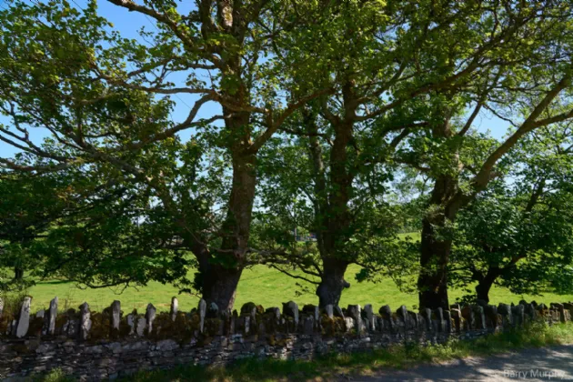 Photo of Ardeevin House, Beach, Bantry, Co. Cork, P75 PK20