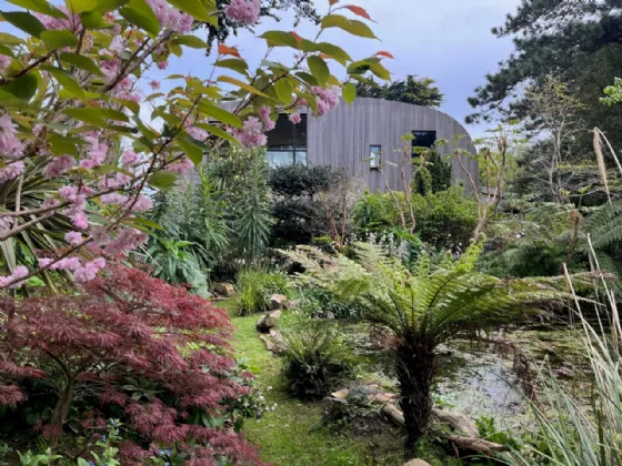 Photo of Ballynoe, 11 Claremont Road, Howth, Co Dublin, D13 CH56