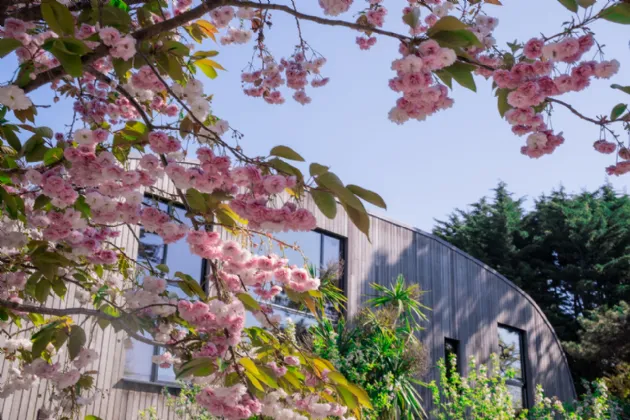 Photo of Ballynoe, 11 Claremont Road, Howth, Co Dublin, D13 CH56