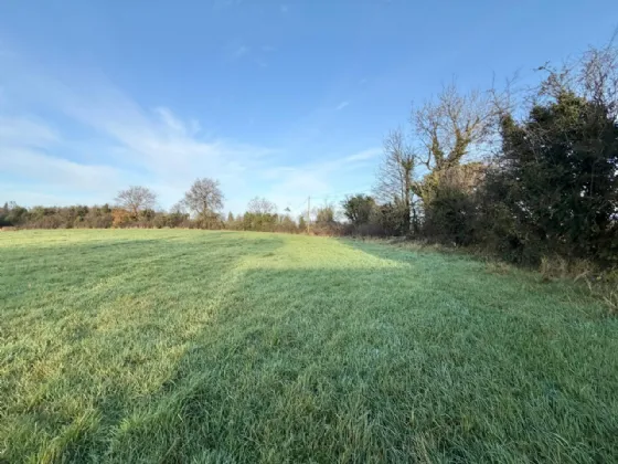 Photo of Site With F.P.P., Moyetra TD, Clontibret, Co. Monaghan
