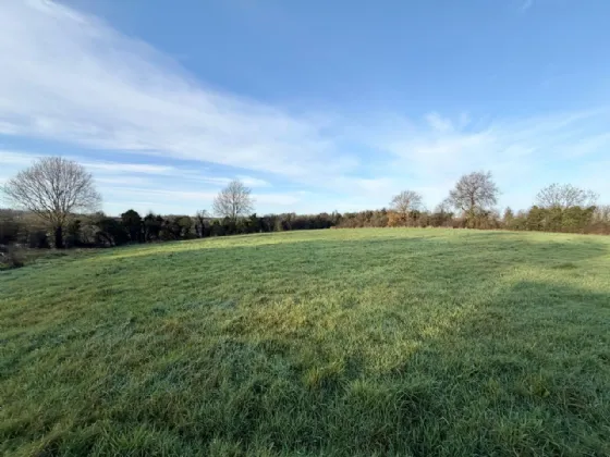 Photo of Site With F.P.P., Moyetra TD, Clontibret, Co. Monaghan