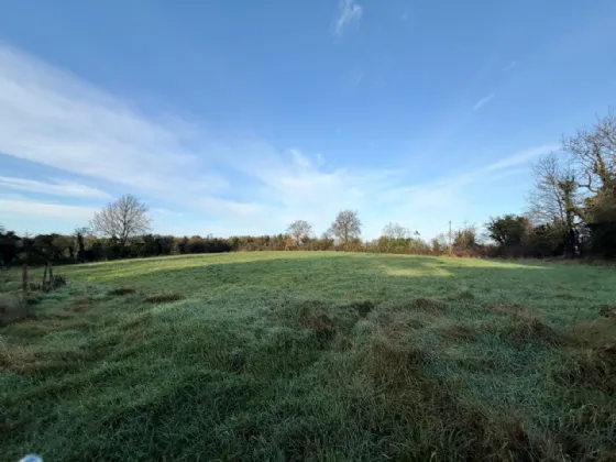 Photo of Site With F.P.P., Moyetra TD, Clontibret, Co. Monaghan