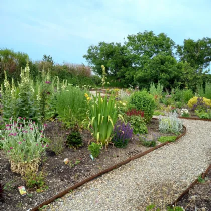 Photo of Templetown, Fethard, Co. Wexford, Y34 Y236