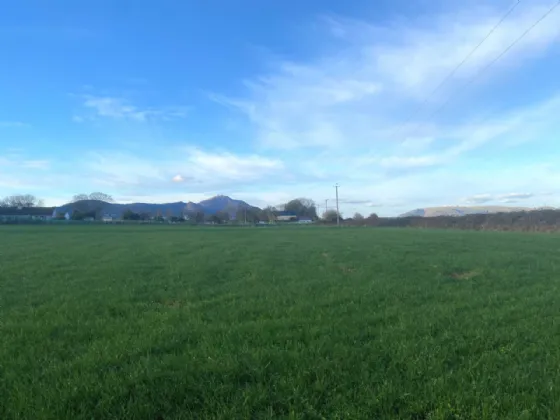 Photo of 4 Acres Grazing Lands, Templetown, Dundalk, Co. Louth