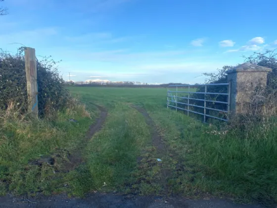 Photo of 4 Acres Grazing Lands, Templetown, Dundalk, Co. Louth