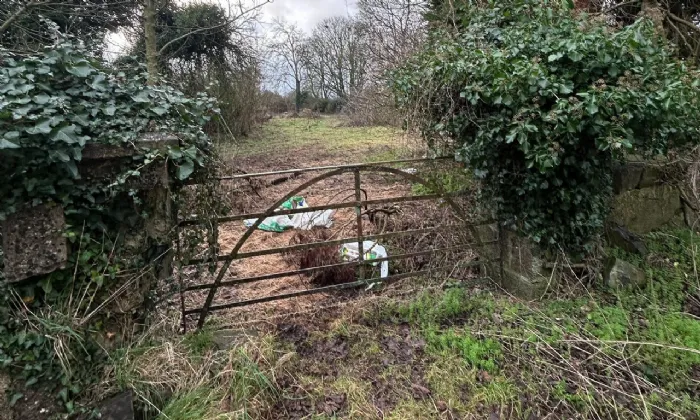 Photo of Milltownpass, Mullingar, Co. Westmeath, N91PVH5