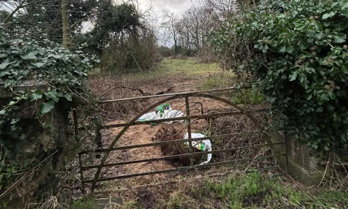 Photo of Milltownpass, Mullingar, Co. Westmeath, N91PVH5