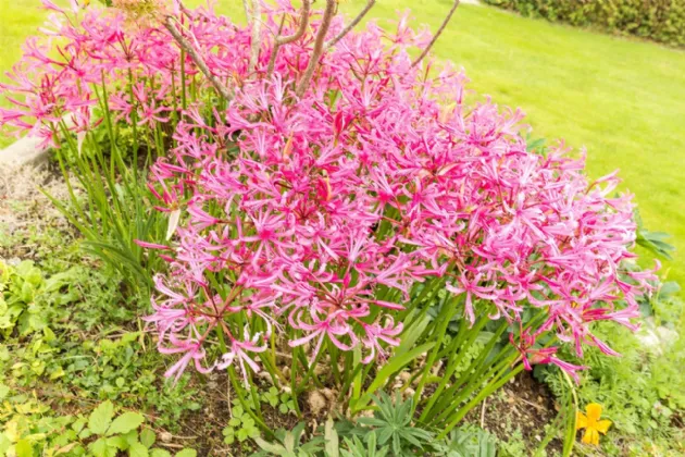 Photo of Amatxu, Clongeen, Foulksmills, Co Wexford, Y35 DX81