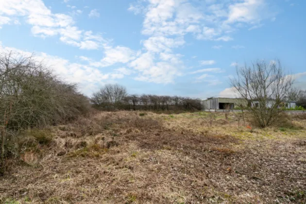 Photo of Kings Bog, The Commons,, Newtown,, Kildare.