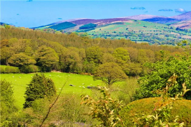 Photo of Woodview, Kilavaney, Tinahely, Co. Wicklow., Y14EK61