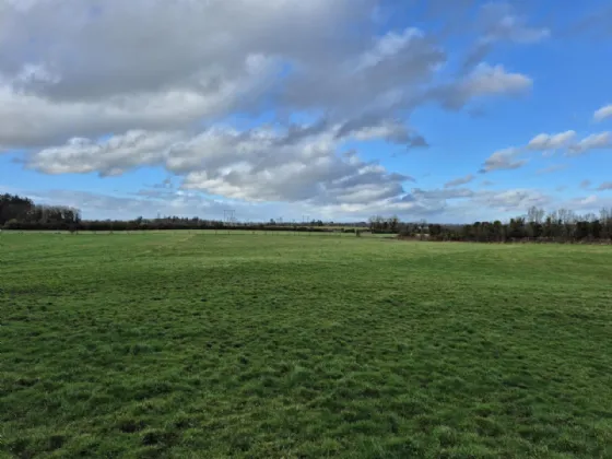 Photo of 6.424 Acres For Sale In Liskeavy, Liskeavy, Tuam, Co. Galway