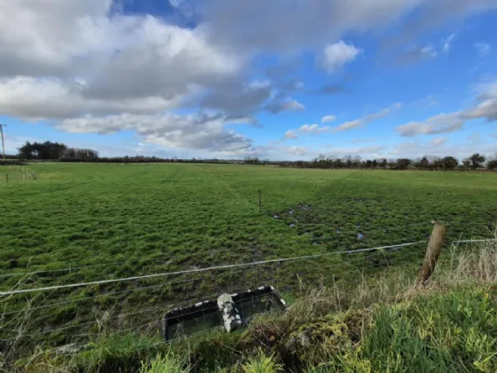 Photo of 6.424 Acres For Sale In Liskeavy, Liskeavy, Tuam, Co. Galway