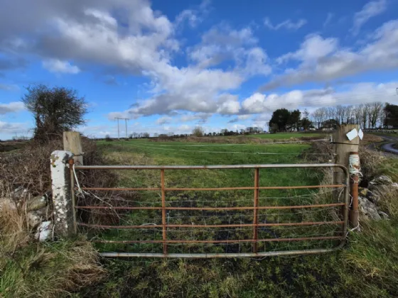 Photo of 6.424 Acres For Sale In Liskeavy, Liskeavy, Tuam, Co. Galway