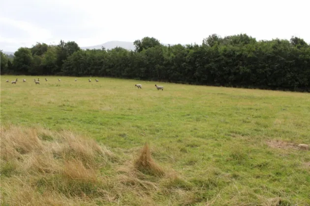 Photo of Sites For Sale, Corrie Beg,, Bagenalstown,, Co Carlow