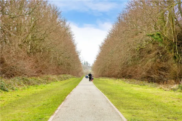 Photo of 61 Carton Square, Maynooth, Co.Kildare, W23 H843