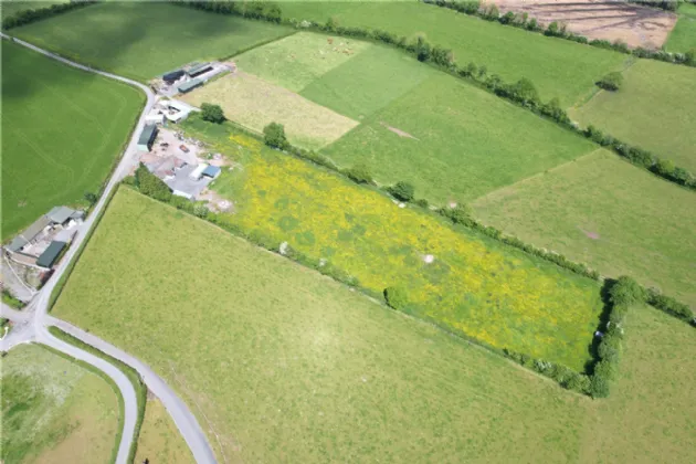 Photo of Cullahill, Knock, Roscrea, Co Tipperary, E53 H500