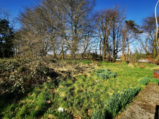 Photo of Lurgan, Kilkelly, Co Mayo, F35 XN22