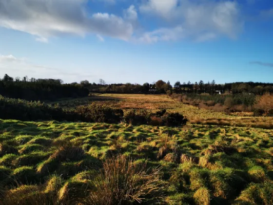 Photo of Lurgan, Kilkelly, Co Mayo, F35 XN22