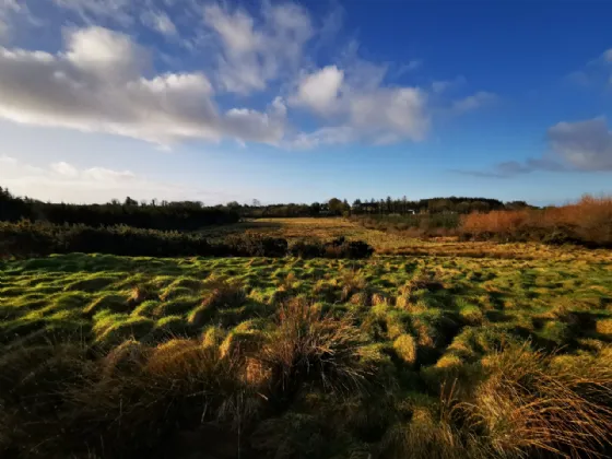 Photo of Lurgan, Kilkelly, Co Mayo, F35 XN22