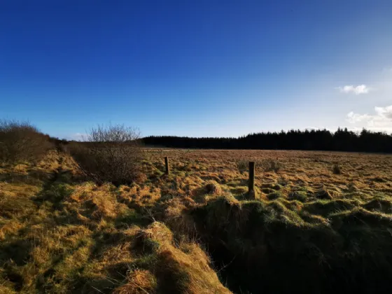 Photo of Lurgan, Kilkelly, Co Mayo, F35 XN22