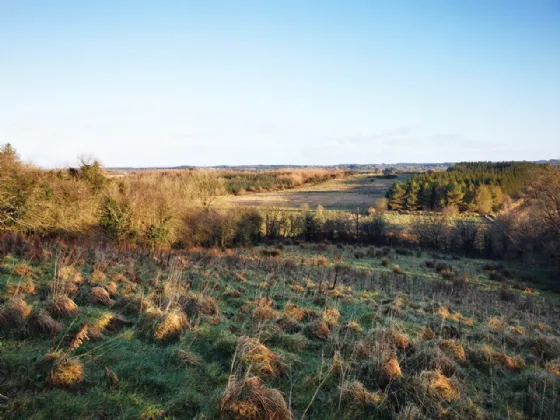 Photo of Lurgan, Kilkelly, Co Mayo, F35 XN22