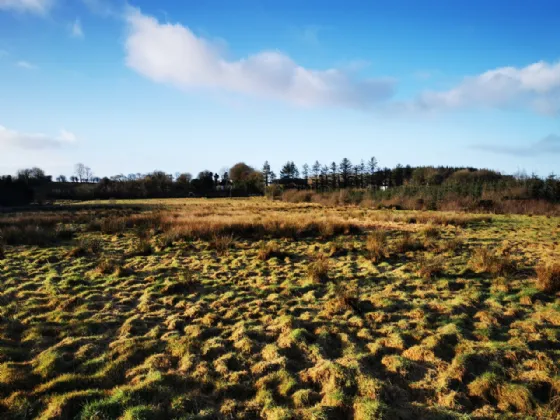 Photo of Lurgan, Kilkelly, Co Mayo, F35 XN22