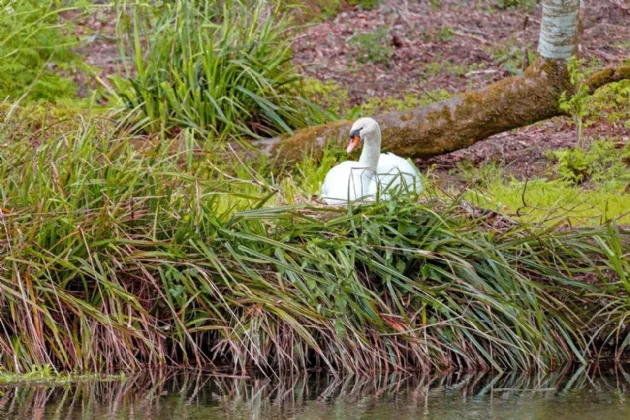 Photo of Kilcreene Lodge, Kilkenny, R95 VKA4
