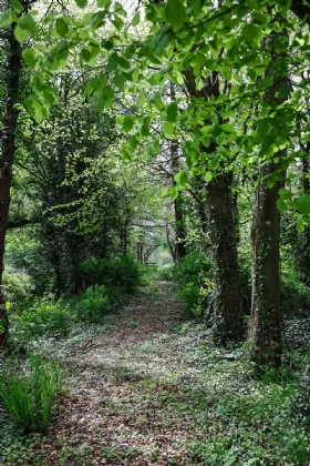 Photo of Kilcreene Lodge, Kilkenny, R95 VKA4