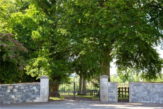 Photo of Altavilla, Cashel Road, Cahir, Co. Tipperary, E21 CD85