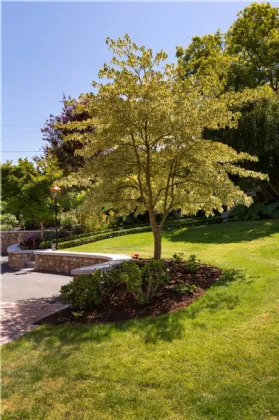 Photo of Ashieanna, Ballycorus Road, Kilternan, Dublin 18, D18 KR92