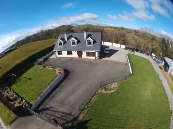 Photo of Craan, Craanford, Gorey, Co. Wexford, Y25V668