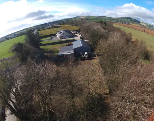 Photo of Craan, Craanford, Gorey, Co. Wexford, Y25V668