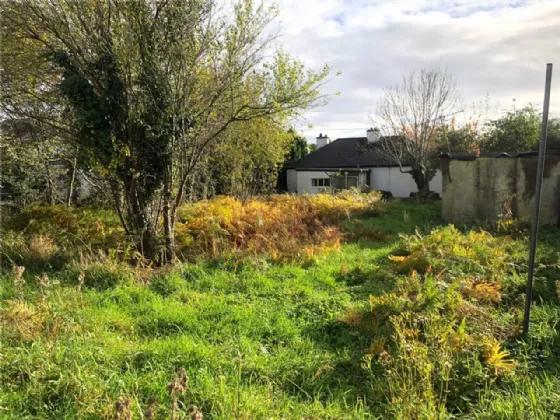 Photo of 'Woodfield', Park Road, Killarney, Co Kerry, V93 PK3H