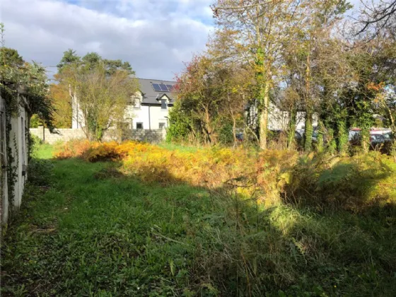 Photo of 'Woodfield', Park Road, Killarney, Co Kerry, V93 PK3H