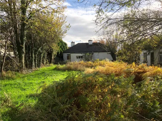 Photo of 'Woodfield', Park Road, Killarney, Co Kerry, V93 PK3H