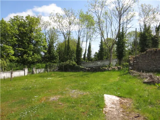 Photo of Curraghmore, Portumna, Co. Galway, H53 H6X7