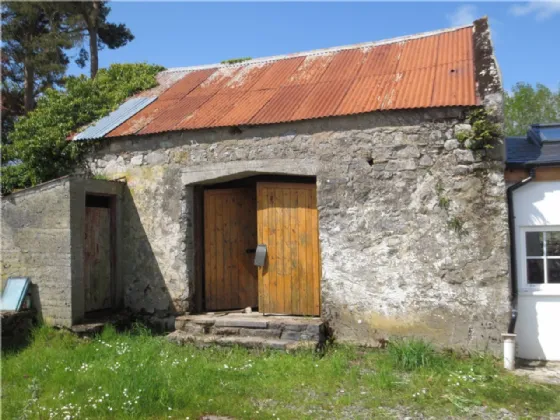 Photo of Curraghmore, Portumna, Co. Galway, H53 H6X7