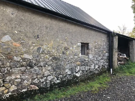 Photo of Curraghmore, Portumna, Co. Galway, H53 H6X7