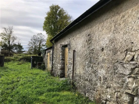 Photo of Curraghmore, Portumna, Co. Galway, H53 H6X7