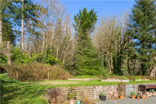 Photo of Mythago Wood, Glanmore, Ashford, County Wicklow, A67 F386